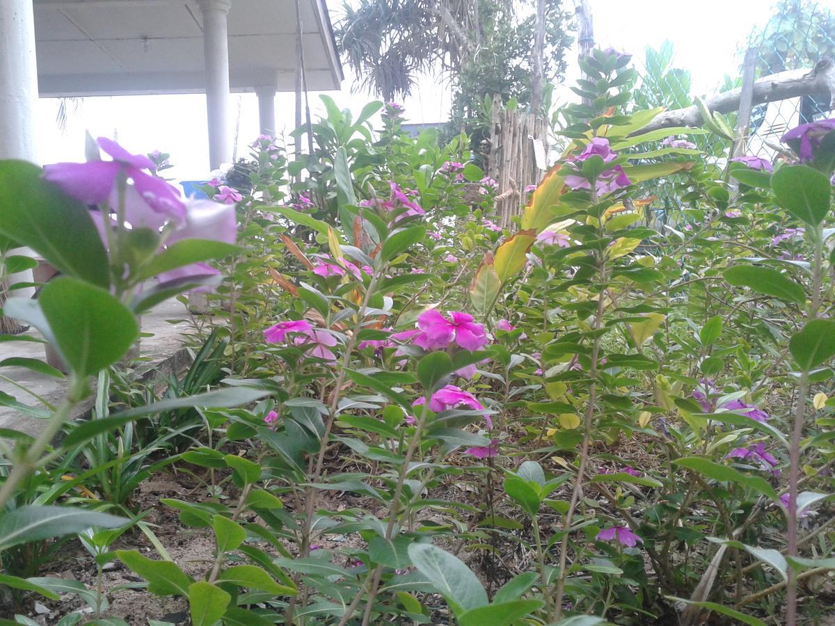Pandan Beach Homestay Kampong Pandan Esterno foto