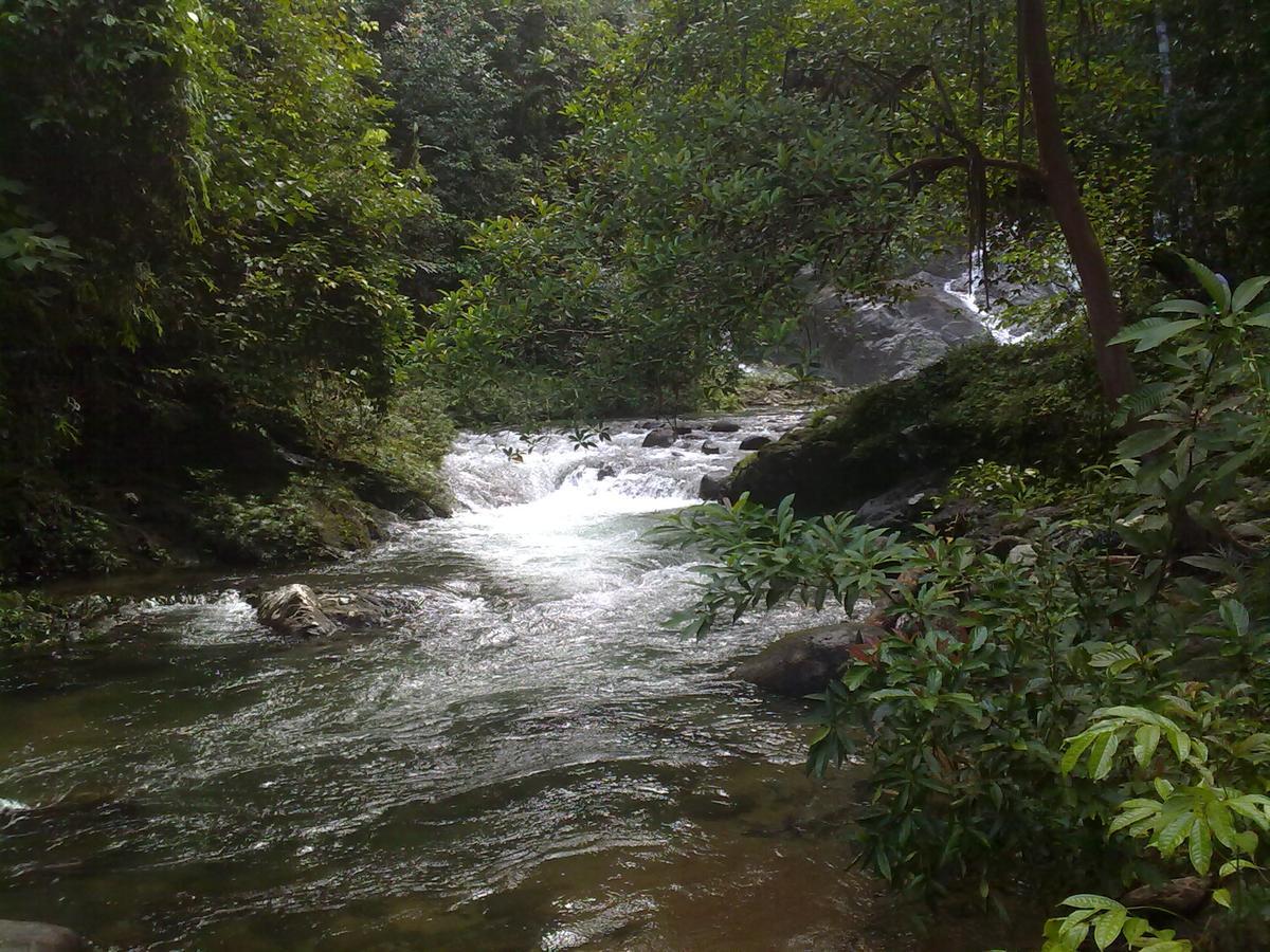 Pandan Beach Homestay Kampong Pandan Esterno foto